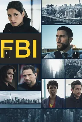 联邦调查局第九季
