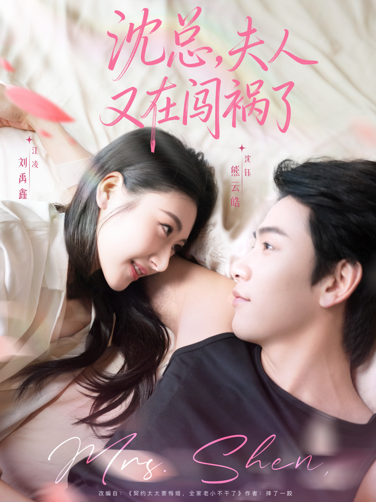 沈总，夫人又在闯祸了(全集)